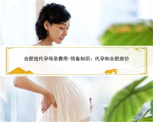 合肥找代孕母亲费用-预备知识：代孕和合肥房价