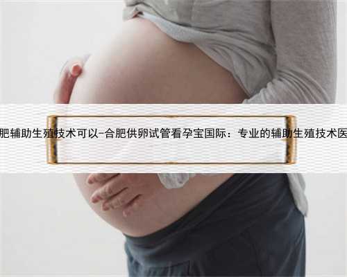 合肥辅助生殖技术可以-合肥供卵试管看孕宝国际：专业的辅助生殖技术医院