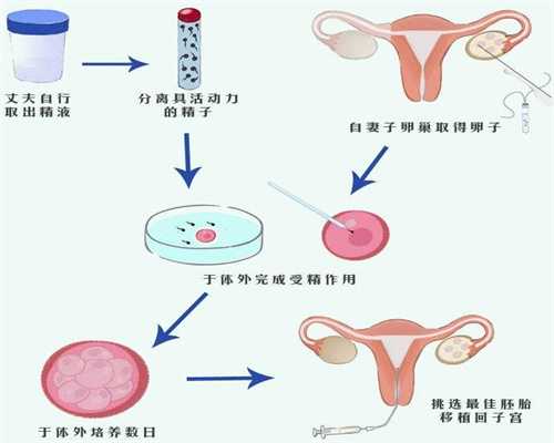 胚胎染色体异常造成胎停，想做试管婴儿却患有子宫肌瘤怎么办