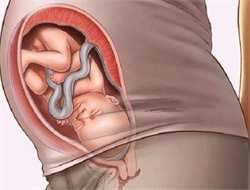 合肥代怀中心是吗，合肥哪家医院供卵代怀