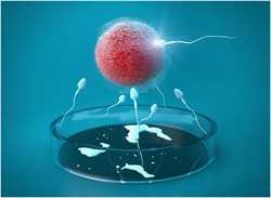 合肥合法供卵助孕，合肥有供卵机构吗？