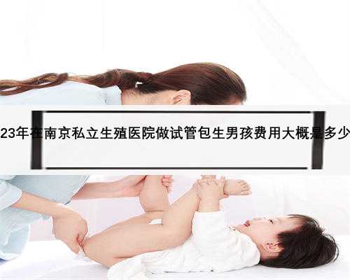 2023年在南京私立生殖医院做试管包生男孩费用大概是多少？